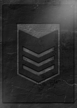 Military Rank Insignia