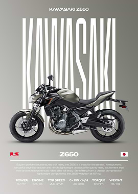 Kawasaki Z650 Motorcycle Poster