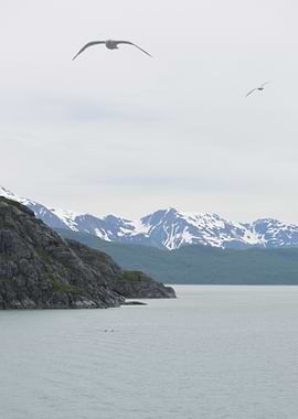 Not so Ancient Mariner