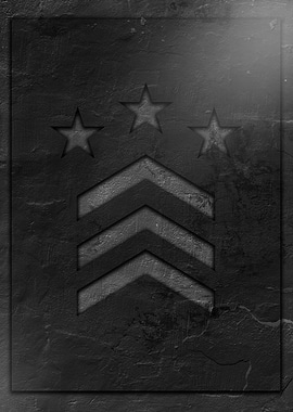 Military Rank Insignia