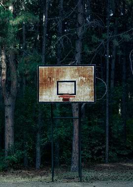 Basketball hoop in the forest