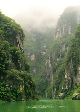 Lush Green River Canyon Landscape