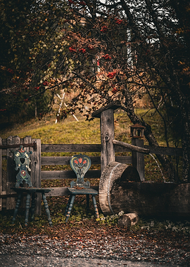 Rustic Chairs by Wooden Fence and Tree