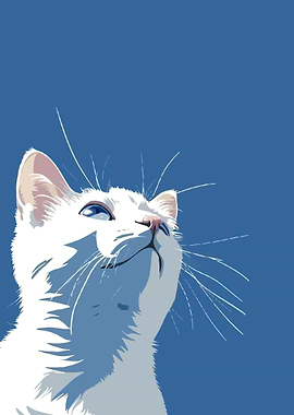 White Cat Looking Upward
