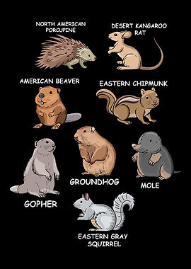 North American Rodents Chipmunk Groundhog Beaver