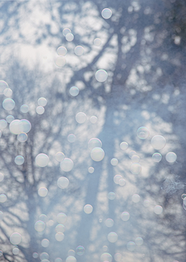 Floating Bubbles in a Winter Scene