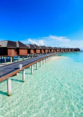 Tropical Overwater Bungalows in Clear Water