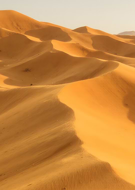 Golden Desert Sand Dunes Landscape
