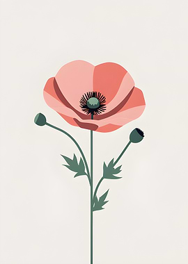 Minimalist Poppy Flower Illustration