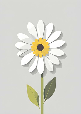 Minimalist Daisy Flower Illustration