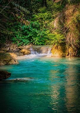 Turquoise Waterfall in Lush Greenery