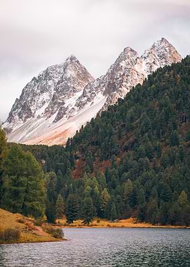 Mountain Lake Landscape