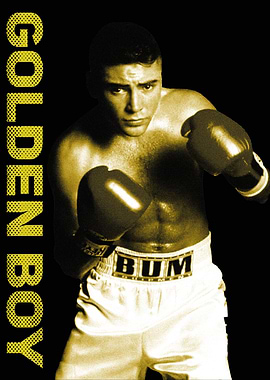 Golden Boy Boxer Portrait