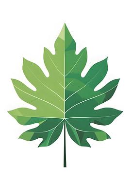 Green Leaf Illustration