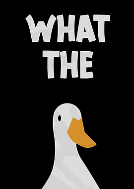 What the Duck Funny Image