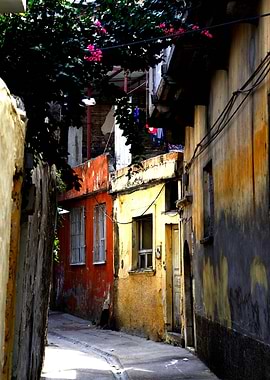 Hidden Colors of an Old Neighborhood