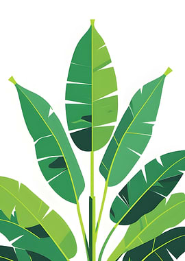 Banana Leaves Illustration