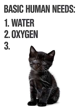 Basic Human Needs Funny Cat Meme