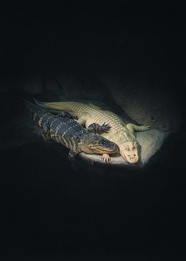 I Will Never Let You Go.