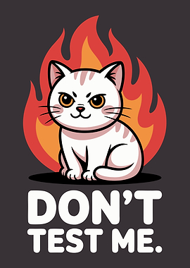 Don’t Test Me Angry Cat