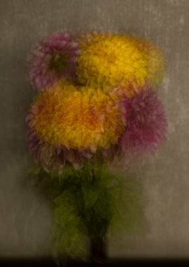 Abstract Floral Arrangement