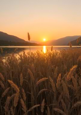 Golden Sunset Over Lake with Reeds