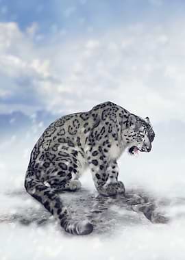 Snow Leopard Roaring in Snowy Landscape