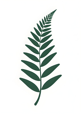 Green Fern Leaf Illustration