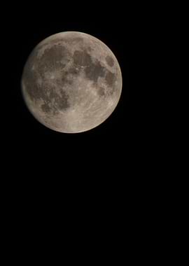 Full Moon in the Night Sky