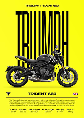 Triumph Trident 660 Motorcycle Poster