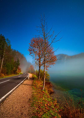 Scenic Lakeside Road at Almsee