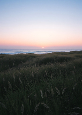 Sunset over grassy dunes by the sea