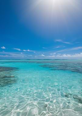 Tropical Ocean View with Clear Water