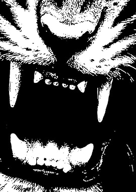 Tiger's Snarl: Black and White