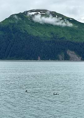 Alaskan Mountain and Sea Landscape with Otters