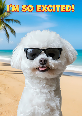 Excited Dog on Beach with Sunglasses