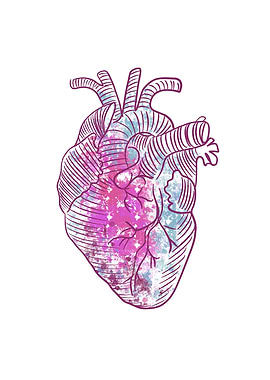 Anatomical Heart with paint Texture
