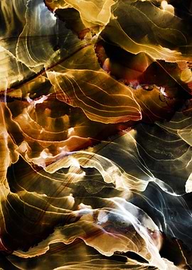 Abstract Ink Fluid Art in Gold and Black