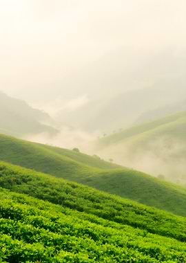 Green Hills in Foggy Landscape