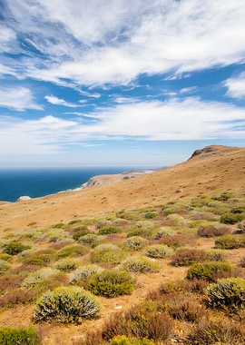Coastal Hillside Landscape with Blue Sky