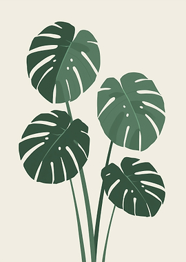 Monstera Plant Illustration