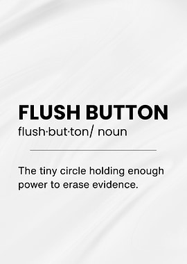 Flush Button Definition