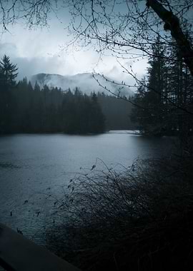 Rainy Lake Landscape Vancouver