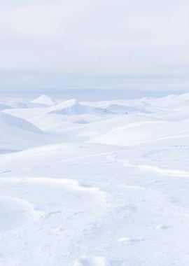 Snowy White Landscape