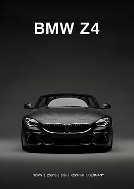 BMW Z4 Car Black
