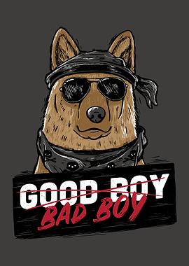 Good Boy Bad Boy