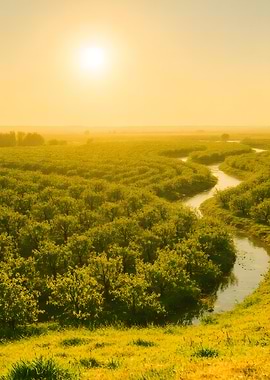 Golden River Landscape at Sunset