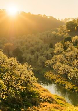Golden Sunlight Over River and Trees
