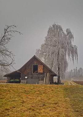 Rustic Barn and Icy Tree Landscape