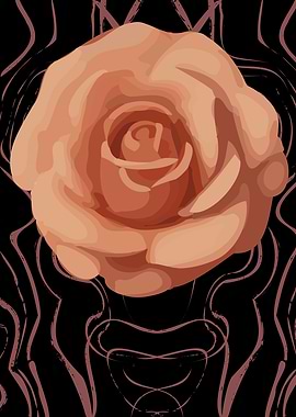 Peach Rose on Black Abstract Background